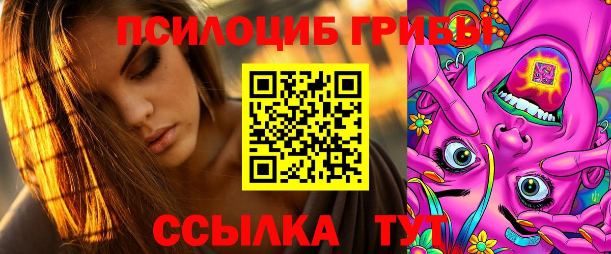 Псилоцибиновые грибы GOLDEN TEACHER Воронеж