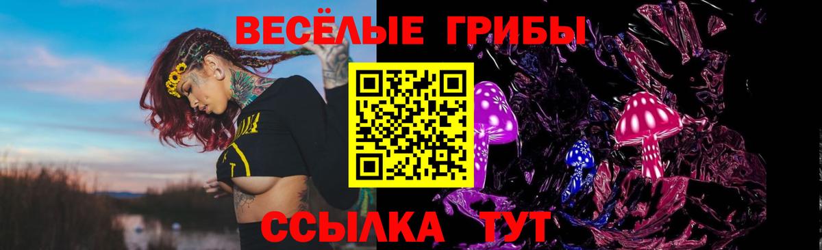 Псилоцибиновые грибы Psilocybe  цены   Воронеж  Вход с VPN 